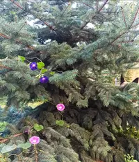 IMG_20240820_083423.webp
