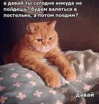 D7E00392-0B6B-4501-82ED-D38E50FFCFC6.webp