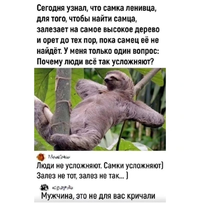 Screenshot_20240821_133018_Instagram.webp