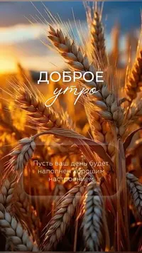 1000001995.webp