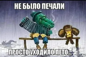 4-3395104.webp