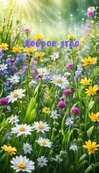 IMG_4223.webp