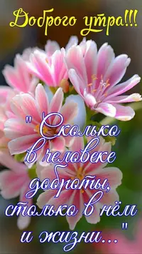 1724490689295.webp