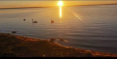 Screenshot_20240818_141632.webp