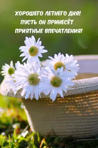 1724577947282.webp