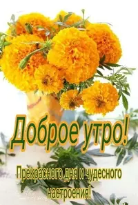 IMG_20240817_190428_159.webp