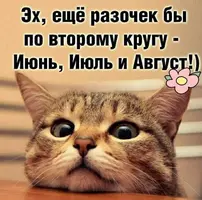 0_097.webp