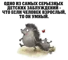 101218_497.webp