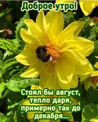 190508_967.webp