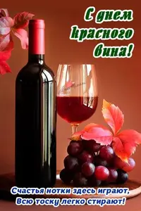28-avgusta-8.webp