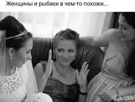 0_073.webp