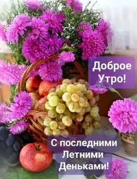 img_1_1724996537392.webp