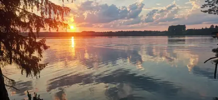 IMG_20240817_200115.webp