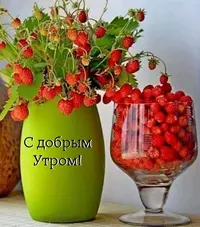 31_306.webp