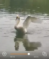 Screenshot_20240831_100445.webp