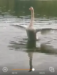 Screenshot_20240831_100421.webp