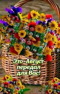 img_1_1725086512959.webp
