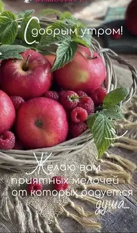 5_243.webp