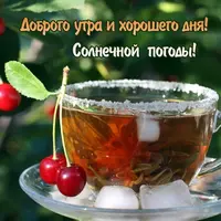 256ccd070b7b8cf31b92444c1dffb559.webp