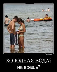 29.webp