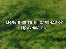 VK_Saved_Photo_ 635993824336885405.webp