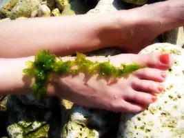 Мои ножки 3.webp
