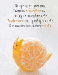 VK_Saved_Photo_ 635972915186165121.webp