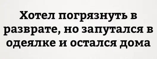 IMG_5727.webp