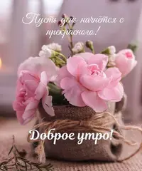 543_393.webp