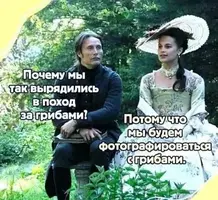 925_551.webp