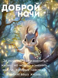 2719_423.webp