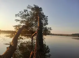 Screenshot_20240906_184403.webp