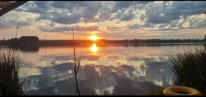 Screenshot_20240906_185420.webp