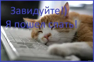 1393354450_2090318724.webp