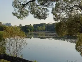 20240908164216.webp