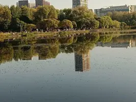 20240908164624.webp