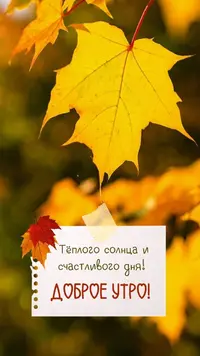 IMG_4361.webp