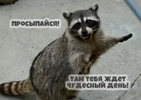 3BJqc4P37gV672X55IwNO2tRZAV4GPqvySyr512J2wy8p4CFj8Pt8Ma3HBjADKCFFNVQ5yl2B3X9njUiVRP_U11g.webp