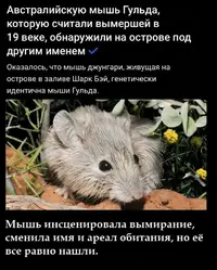 iwWDfGFlBAEjzOK3ZZwEXoHp9-6zaCRMKseulFRiF0VUosmQqdCzGjT6Gmtn3ft_a8kDBv2Btw2iBsMhL_d0Rgi1.webp