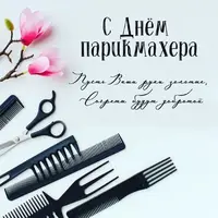 lRMvMq6nPxc.webp