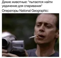 171631296117143471.webp