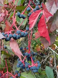 IMG20240914082533.webp