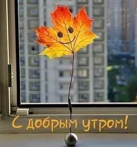 IMG_4408.webp