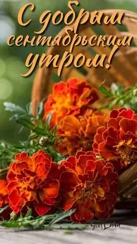 55_330.webp