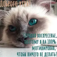 foto-4313-10.webp