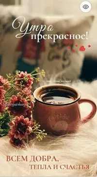 _905.webp