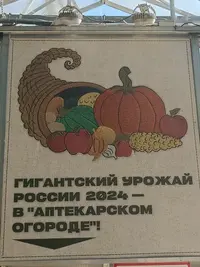 20240916125219.webp