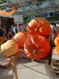 20240916122800.webp