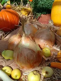 20240916122936.webp