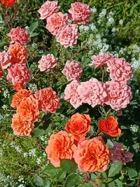 20240916124120.webp